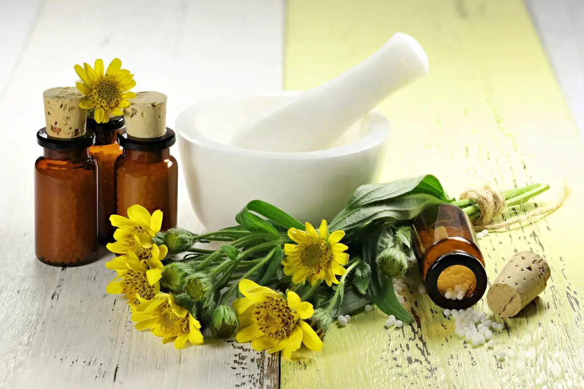 What Are The Top Homeopathic Remedies For Dental Pain
